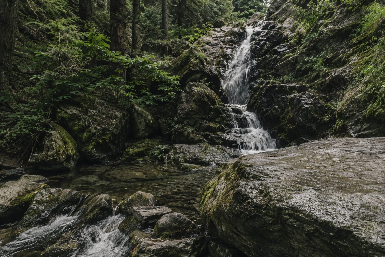 A waterfall stepping through mossy rock into a clear forest pool, flat stones to sit by the water.
